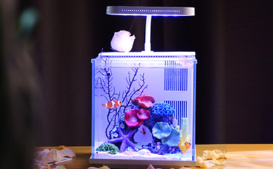 Bottom Filter Aquarium